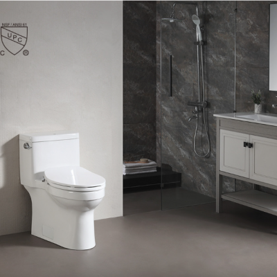 Faer-Toilet 02 Bathroom Floor Standing Ceramic Flush Round Toilet